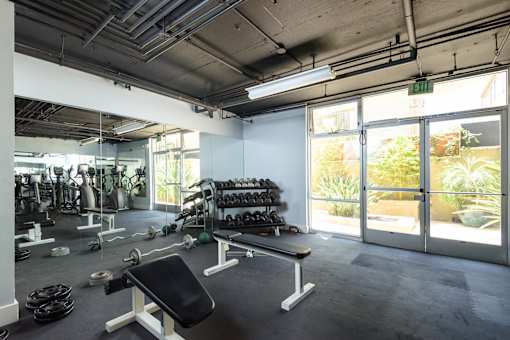A gym with a variety of equipment including weights and dumbbells.