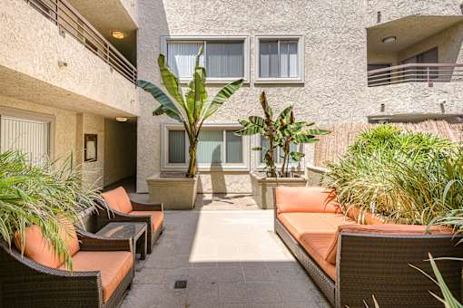 A patio with a couch, chairs, and a potted plant.