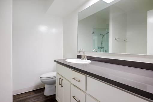 a bathroom with a sink and a toilet and a mirror