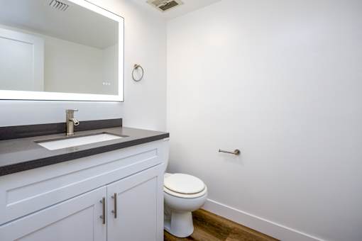 a bathroom with a toilet and a sink and a mirror
