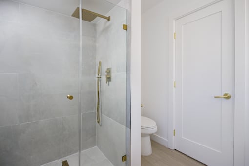 a white bathroom with a shower and a toilet