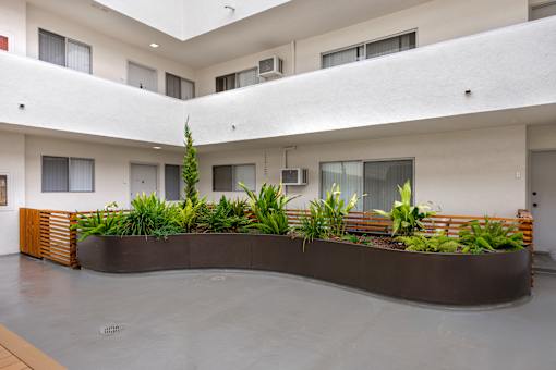 A long planter box with plants in it.