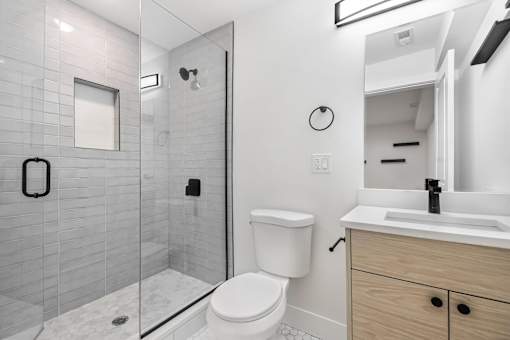 A modern bathroom with a walk-in shower and a toilet.