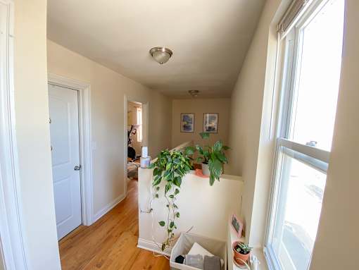 A room with a white door and a window with a potted plant on the windowsill.