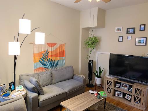 A living room with a grey couch, a wooden coffee table, a television, and a plant.