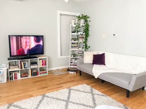 A living room with a grey couch, a television, a bookshelf, and a rug.