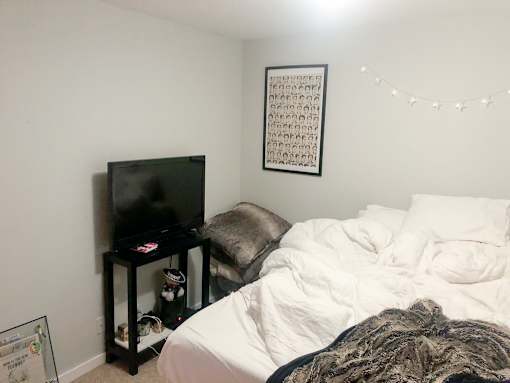 A bedroom with a bed, a television, and a framed picture on the wall.