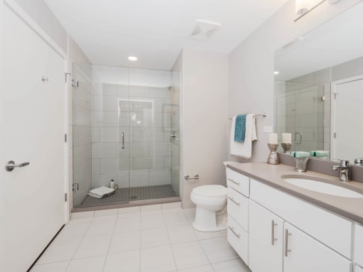 Library Lofts South Loop Chicago  1 Bed - 1 Bath