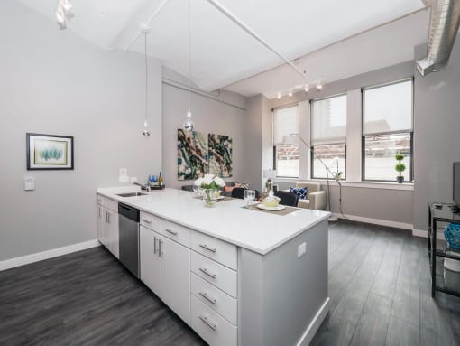 Library Lofts South Loop Chicago  1 Bed - 1 Bath