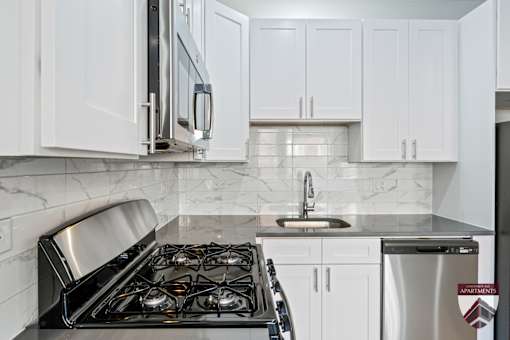 gas range stove