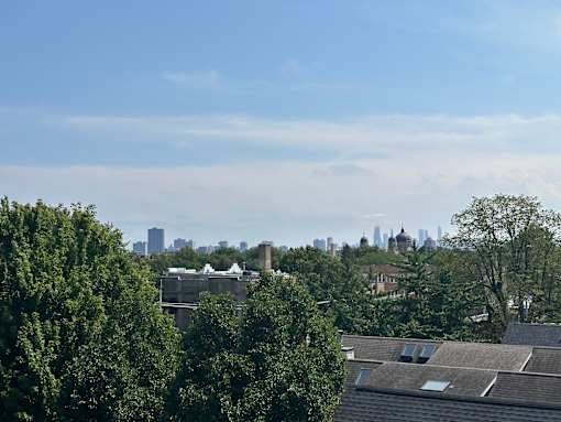 A city skyline is visible through a dense collection of trees.