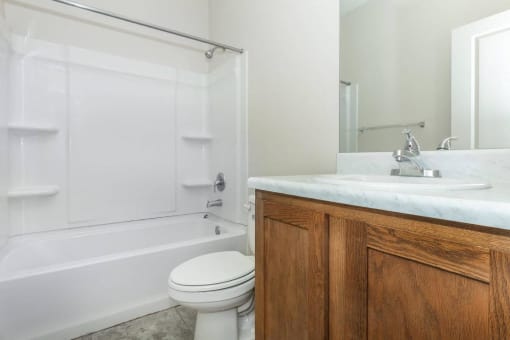 a bathroom with a sink and a toilet and a bath tub