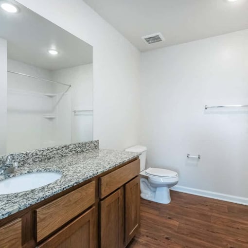 a bathroom with a toilet and a sink and a mirror