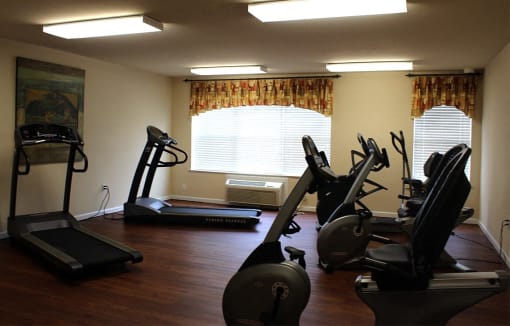 a home gym with treadmills and exercise equipment