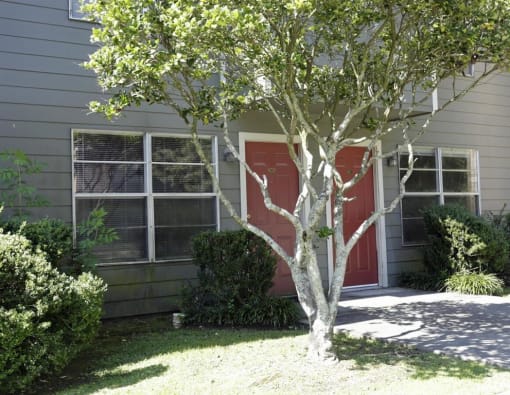 a house with a red door and a tree in front of it