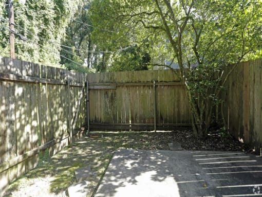 a backyard with a wooden fence and a tree