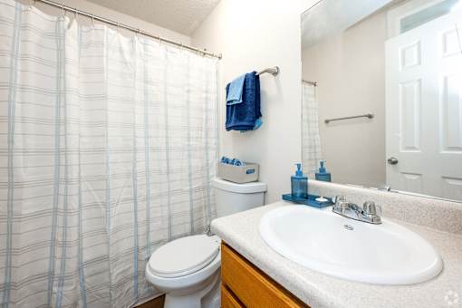 A bathroom with a toilet, sink, and shower curtain.