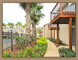 A palm tree stands in a garden next to a building.