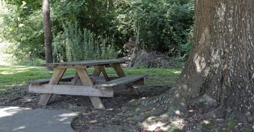 a picnic table next to a tree in a park