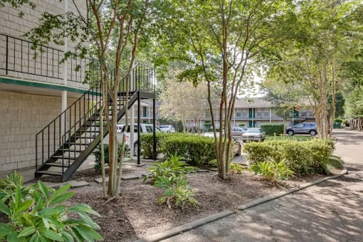A tree-lined courtyard with a building in the background.