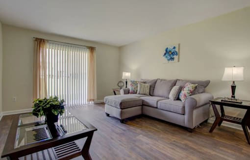 A living room with a couch, a glass table, and a potted plant.