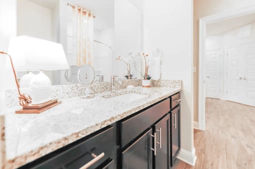 Custom Look Bathroom at Silver Oaks Apartments, Gonzales, Louisiana