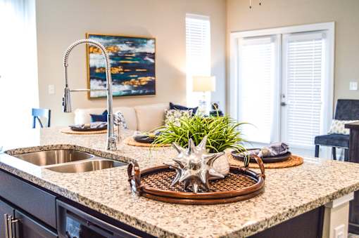 A kitchen with a sink and a painting on the wall at Silver Oaks Apartments, Louisiana
