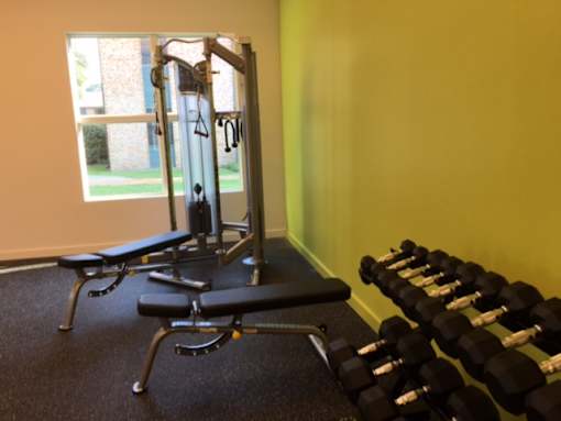 A gym with a row of dumbbells and a bench.