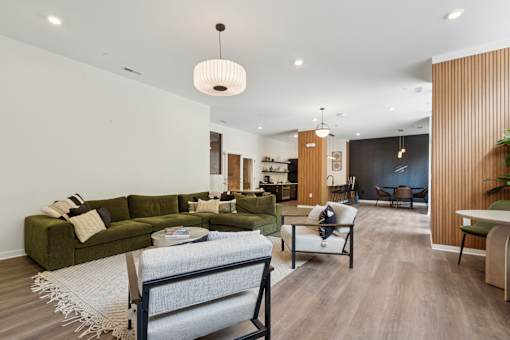 A living room with a green couch and a white rug.