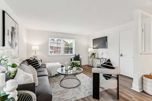 A living room with a grey couch, a coffee table, and a television.