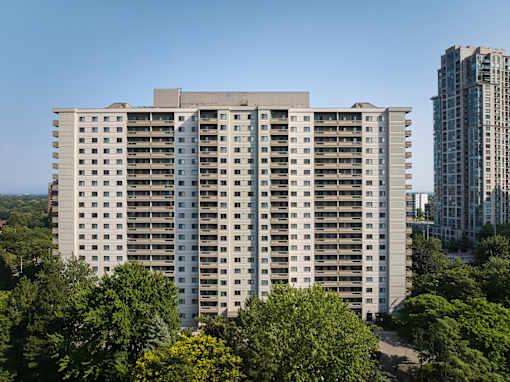 The Elmwoods