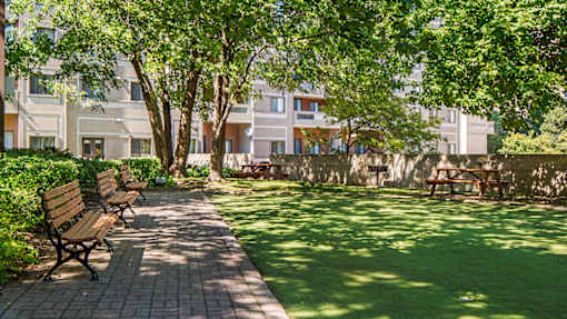 Tennis Court & BBQ Area