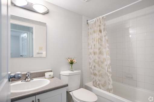 A bathroom with a toilet, sink, and shower.