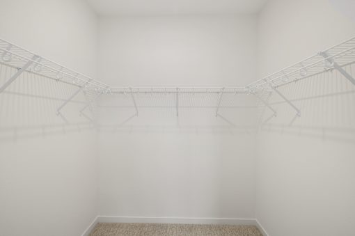 A white room with a wire shelving unit and a carpeted floor.
