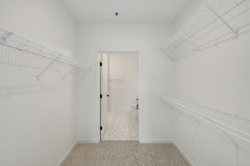 A white closet with a carpeted floor and a door.