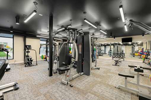 A gym with a variety of equipment including a squat rack, a leg press machine, and a bench press.