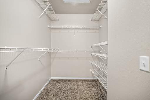 Empty walk-in closet with shelves and carpeted floor.