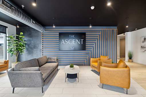 A modern waiting room with a grey sofa and leather armchair.