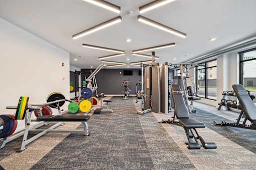 A gym with weights and benches for weight lifting