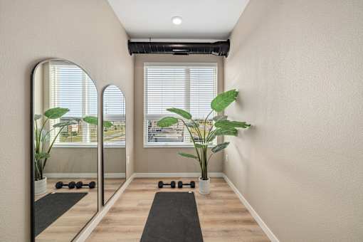 A room with a mirror, a yoga mat, and a plant.