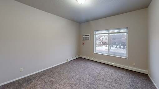 A room with a window and a carpet on the floor.