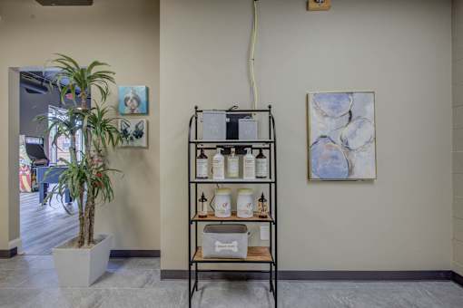 A room with a plant, a shelf with bottles and a painting on the wall.