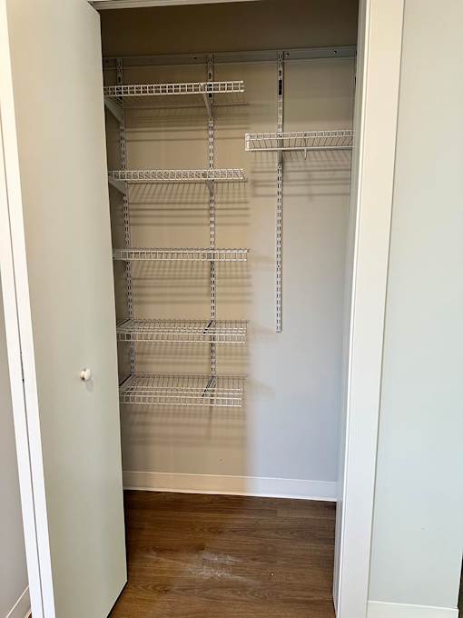 Empty walk in closet with shelves.
