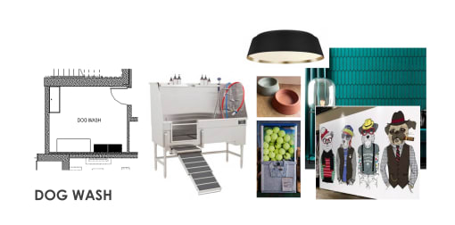 a collage of dog wash items and a diagram of a house and a dog