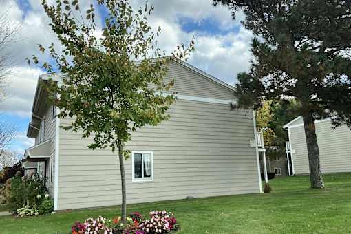 A house with a grey siding and a white window is surrounded by a green lawn and a tree with red flowers.