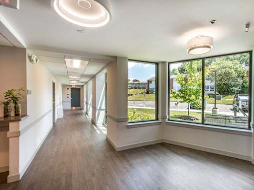 A long hallway with a plant on the left and a view of the outside through the windows on the right.