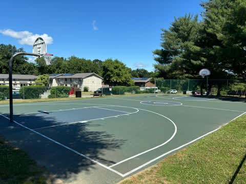 A basketball court with a green surface and white lines.