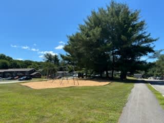 A tree-lined road with a playground in the distance.