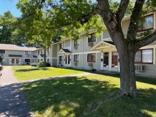 A tree in front of apartment buildings.