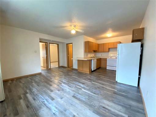 Apartment | 2 BR | 1 Bath | Living Area | LVT | Three Sixty Real Estate